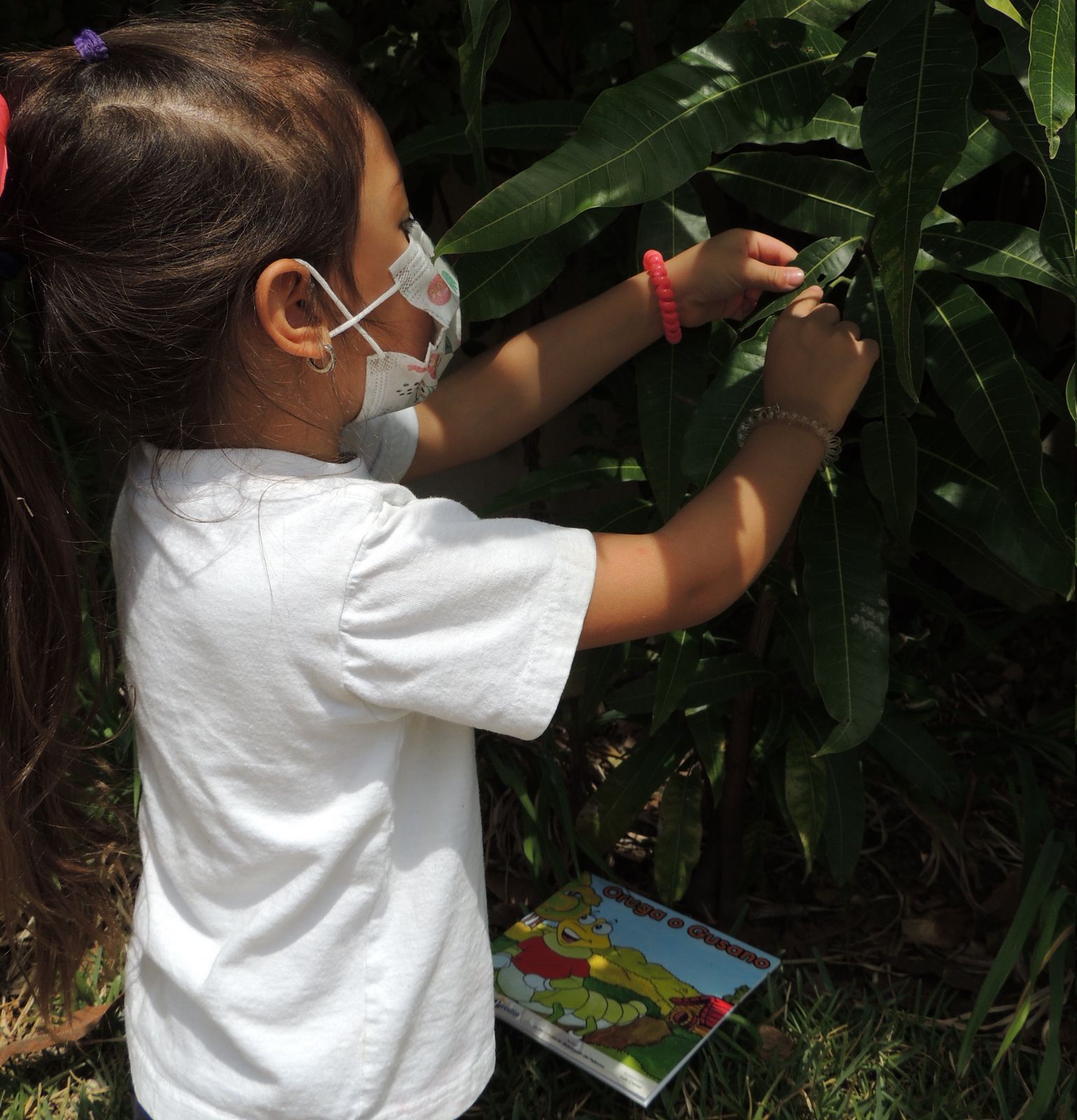 Actividades escolares